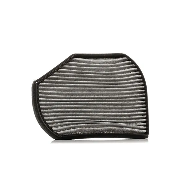 RIDEX 424I0247 Pollen filter